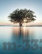 九游棋牌娱乐苹果-革新移动娱乐体验，九游棋牌在苹果平台的卓越实践